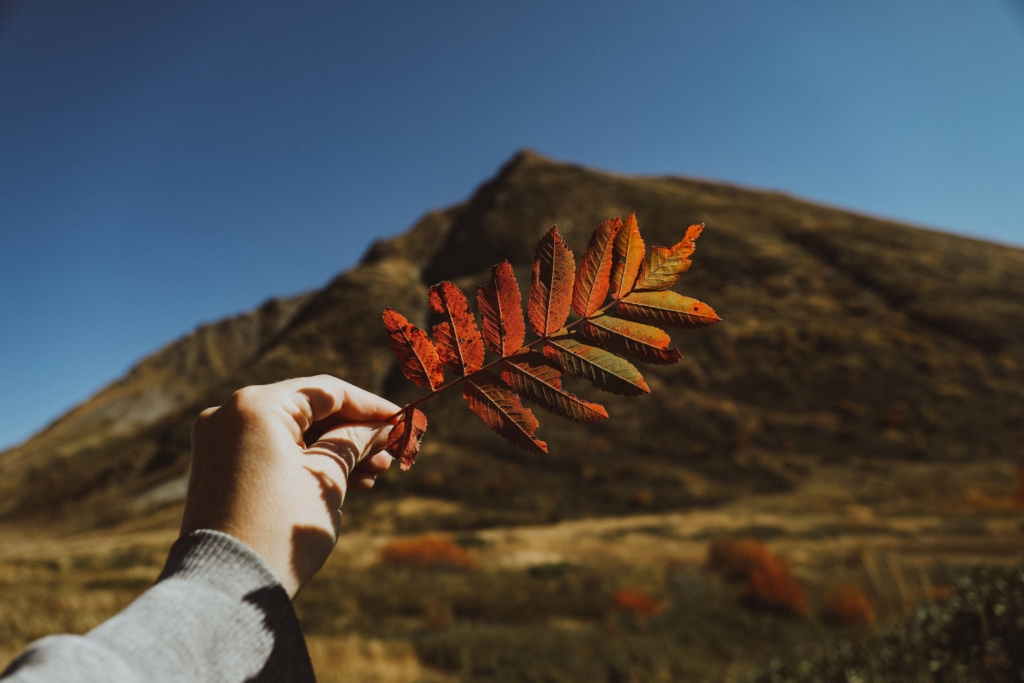 Autumn hiking in the mountains