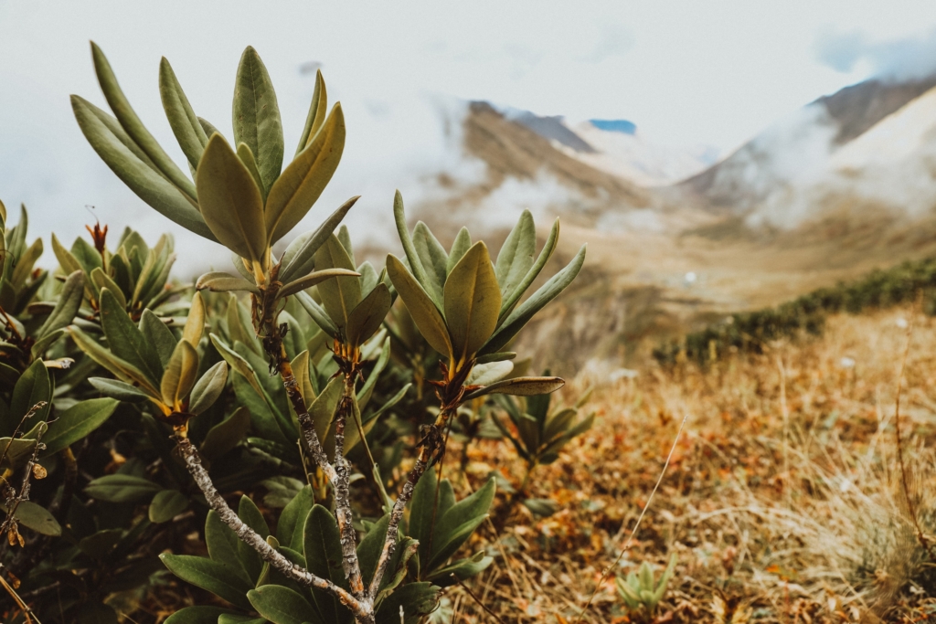 Autumn hiking in the mountains