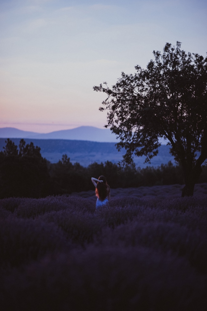 Fabulous lavender