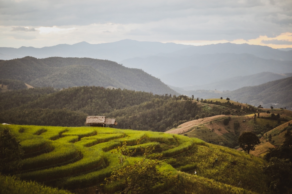 Discover the Emerald Terrace of Ban Pa Pong Piang