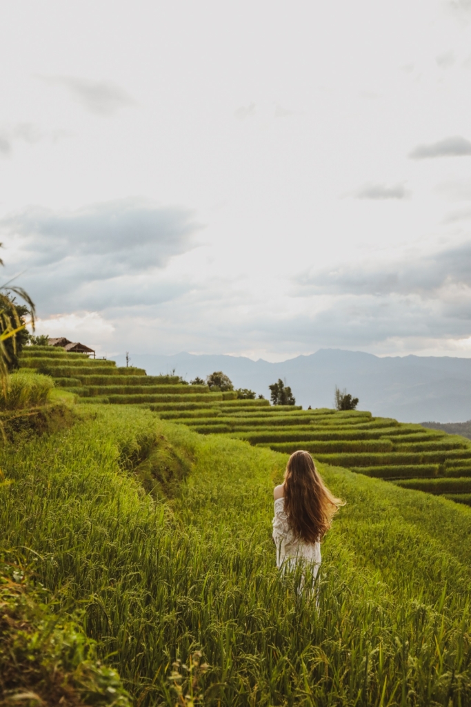 Discover the Emerald Terrace of Ban Pa Pong Piang