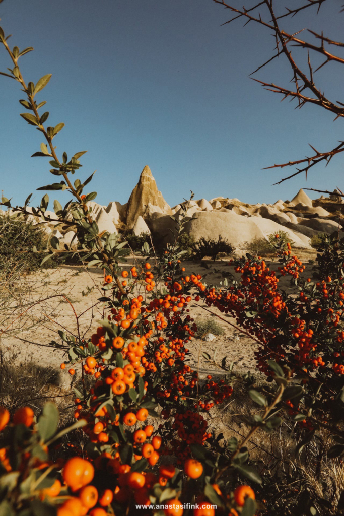 Incredible Cappadocia