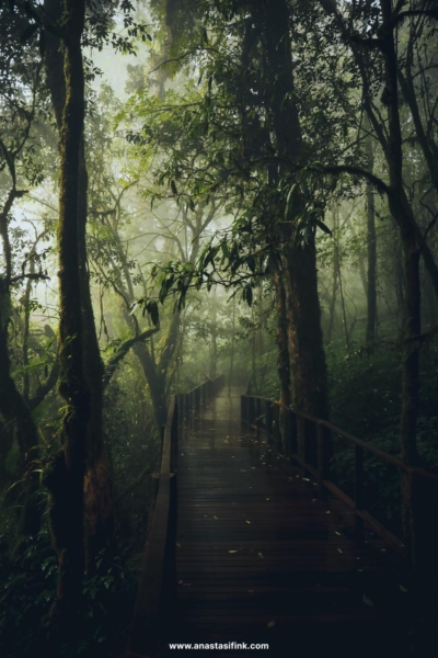 Ang Ka Luang Nature Trail: A Mystical Journey in Doi Inthanon