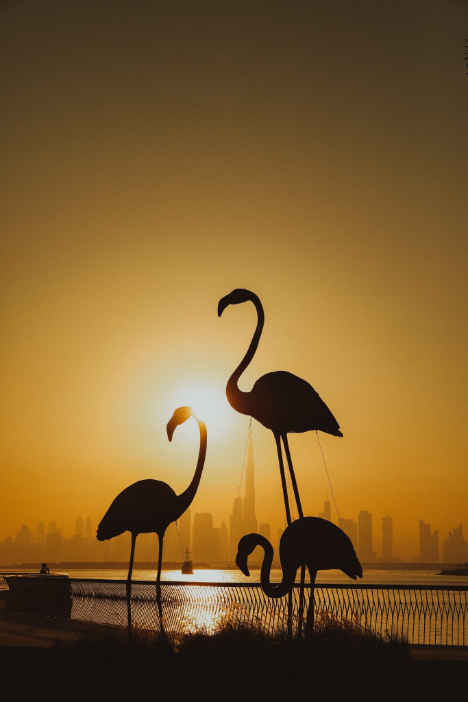 Watch the perfect sunset at Dubai Creek Harbor promenade