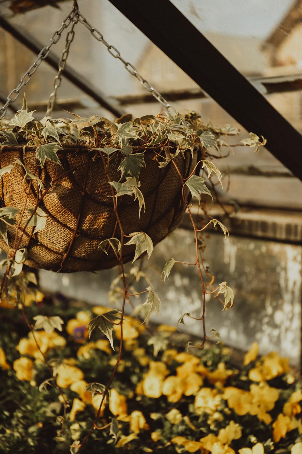 Gardenia Shevarnadze: fairy garden in Tbilisi - ANASTASI FINK