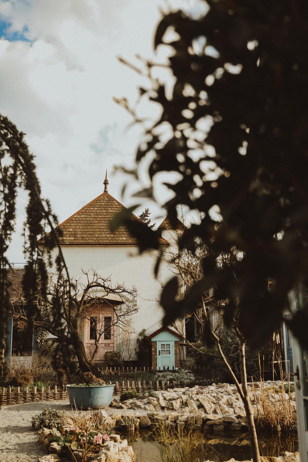 Gardenia Shevarnadze: fairy garden in Tbilisi
