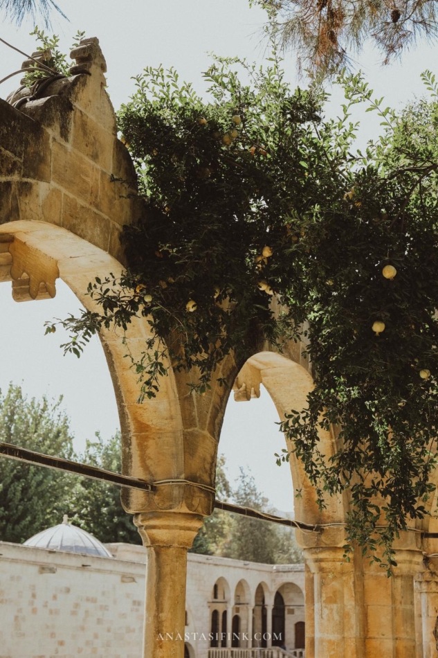 Historic ancient arches covered in greenery at Golbasi Park