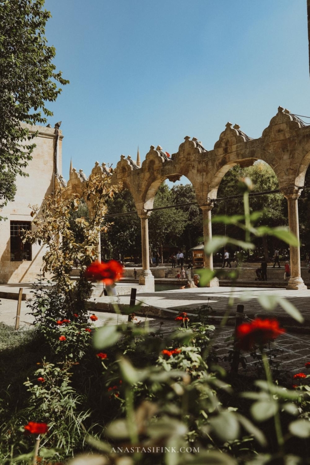 Blooming garden with colorful flowers in Golbasi Park.