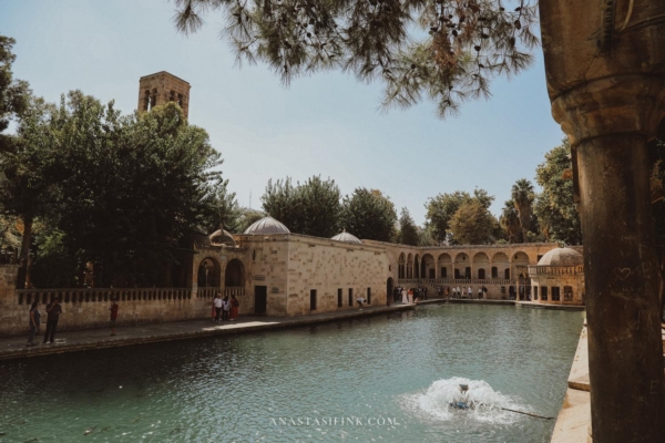 Scenic view of the waterfront at Balıklı Göl, showing historical structures and greenery.