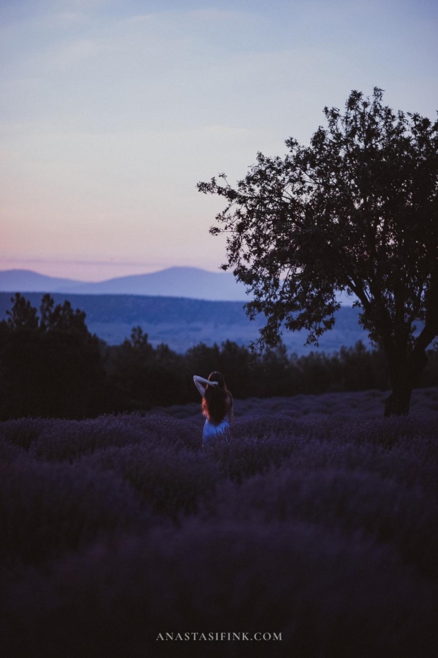 Turkey Lavender Fields