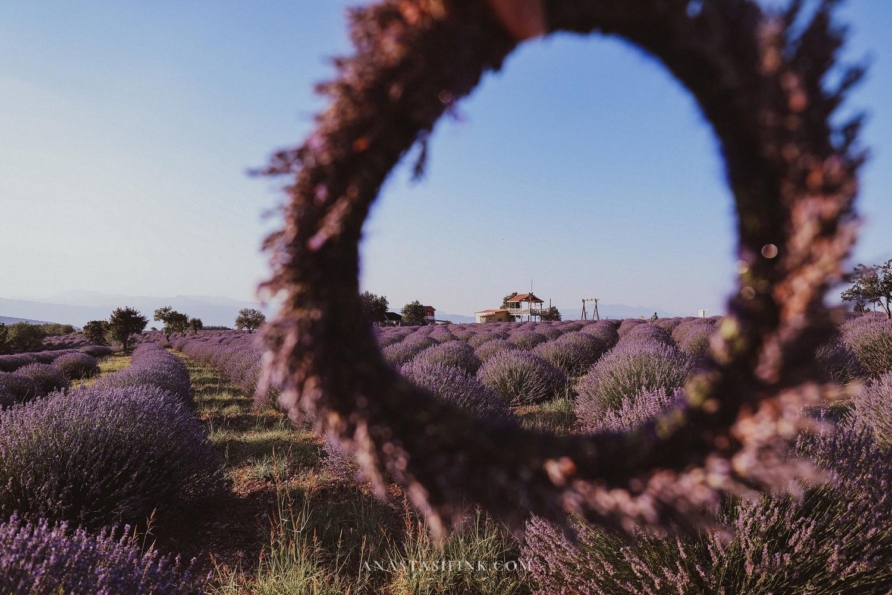 Kuyucak Lavender Fields