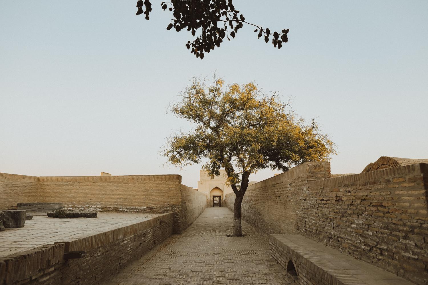Bukhara — The Jewel of the Silk Road