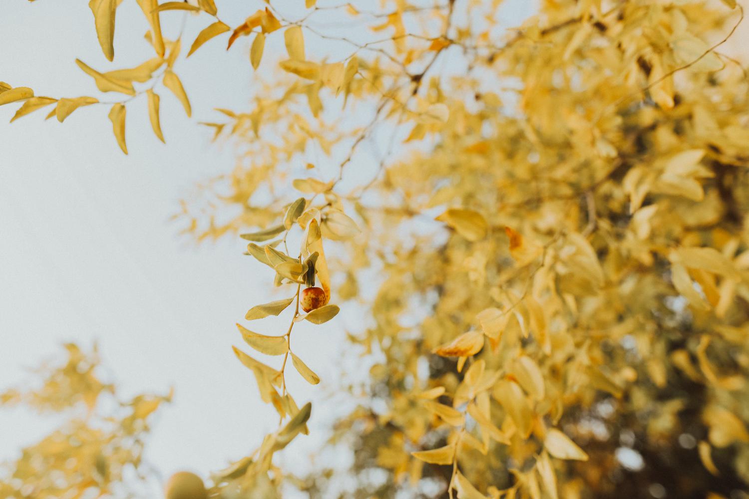 Bukhara — The Jewel of the Silk Road