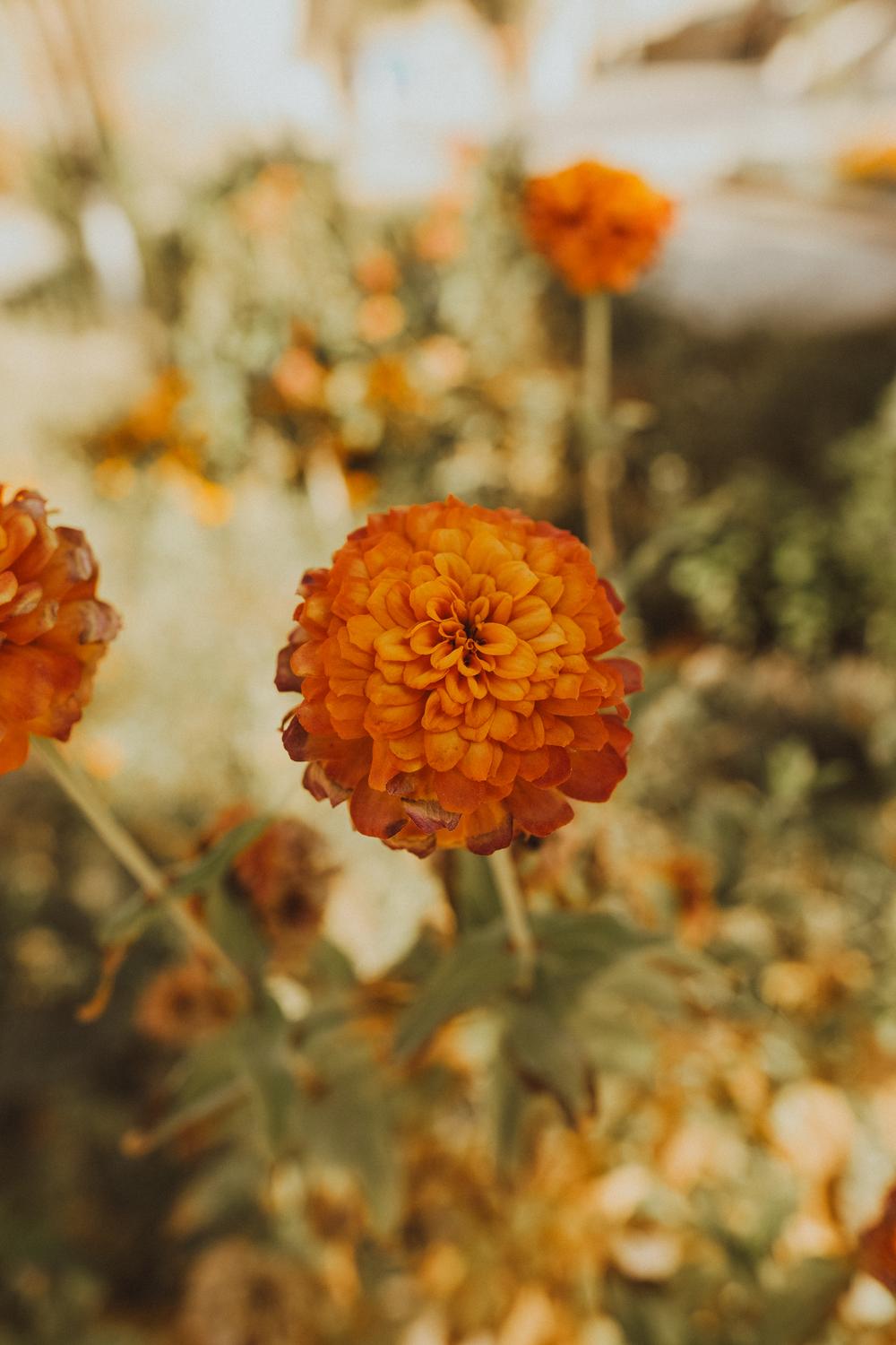 Bukhara — The Jewel of the Silk Road