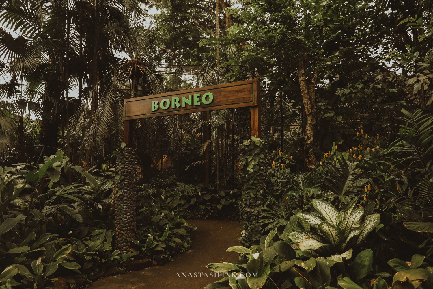 Entrance to the Borneo zone among tropical plants