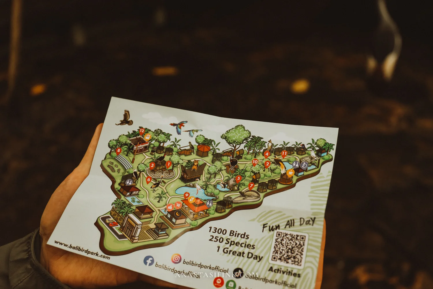 Park map showing all zones and activities