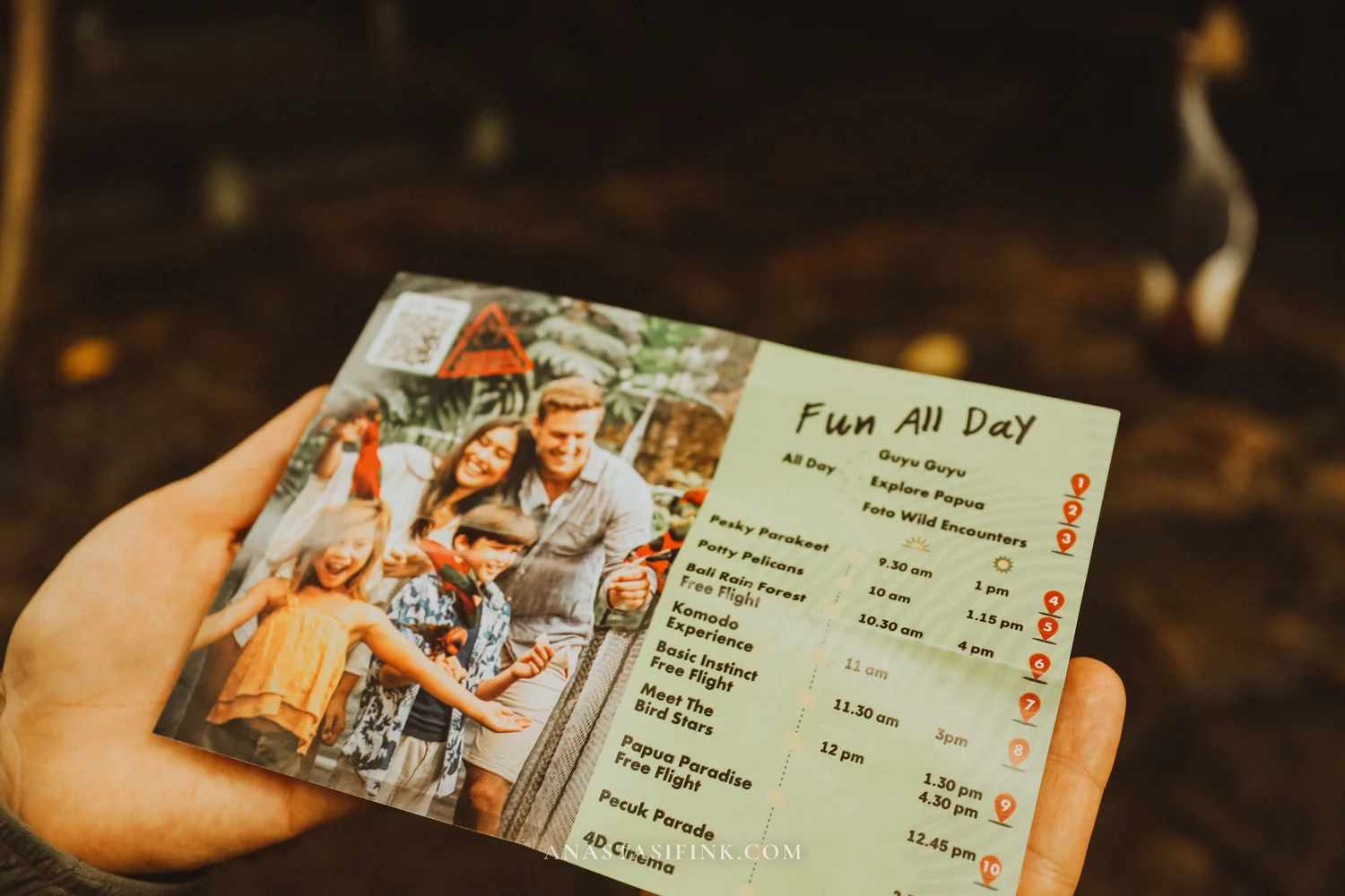 Show schedule at Bali Bird Park