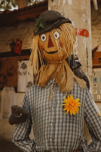 Классическое пугало в клетчатой рубашке и шляпе с жёлтым цветком