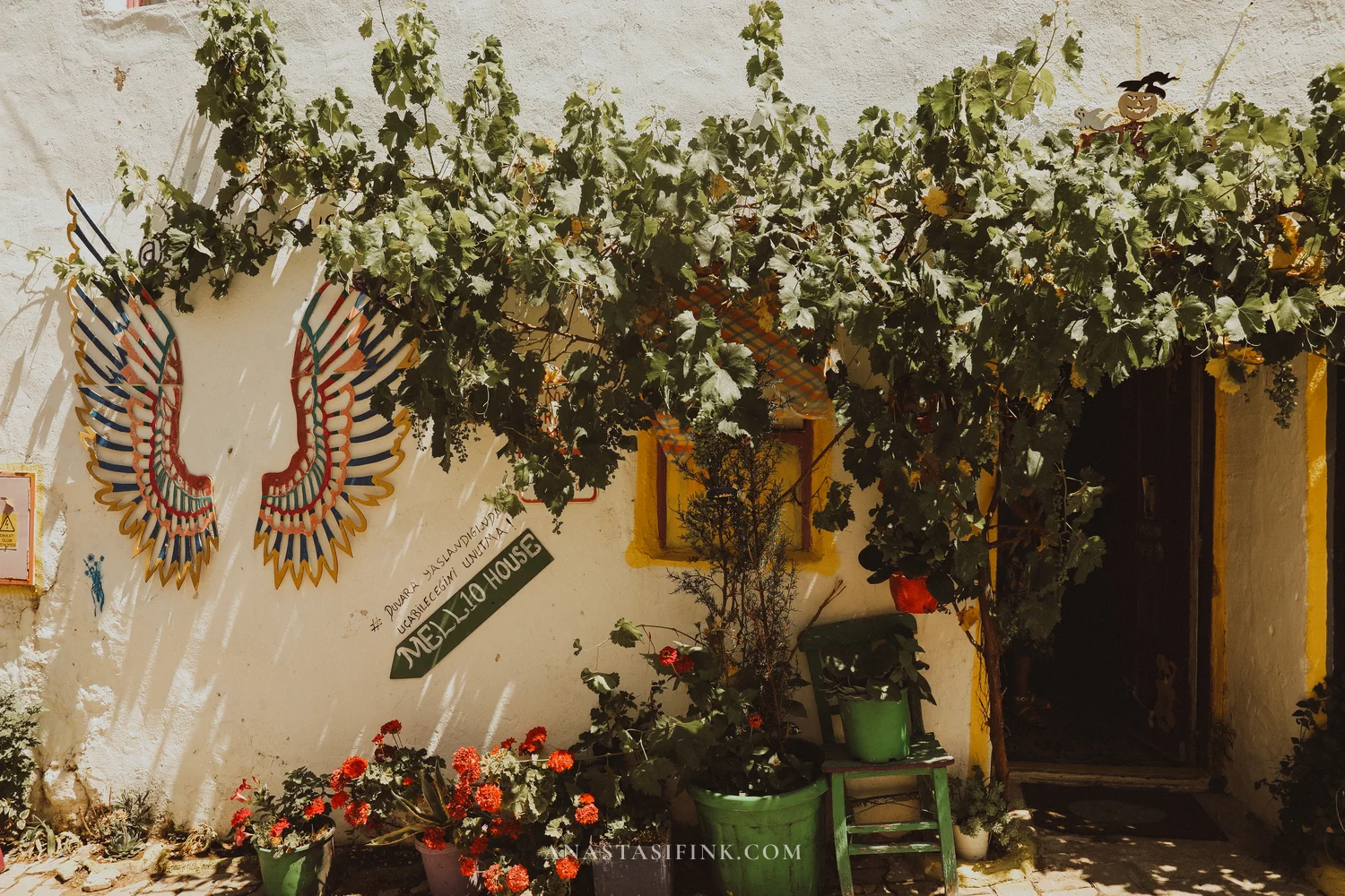 Courtyard with wing murals, grapevines, and flowers