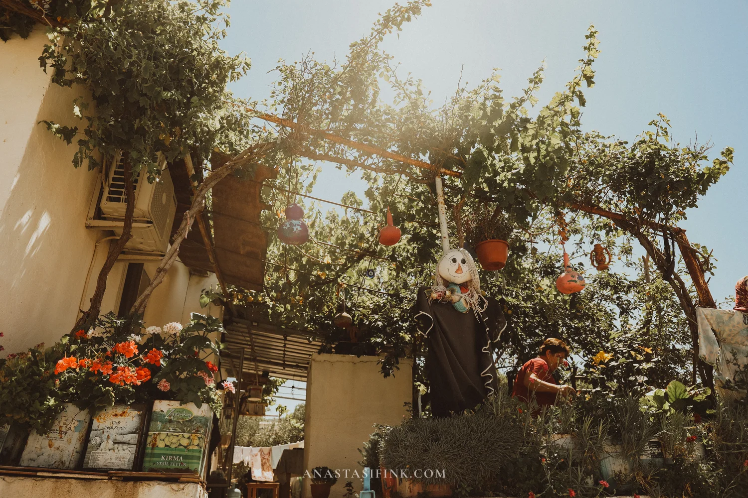 Garden courtyard with grapevines, hanging pots, and a scarecrow among greenery