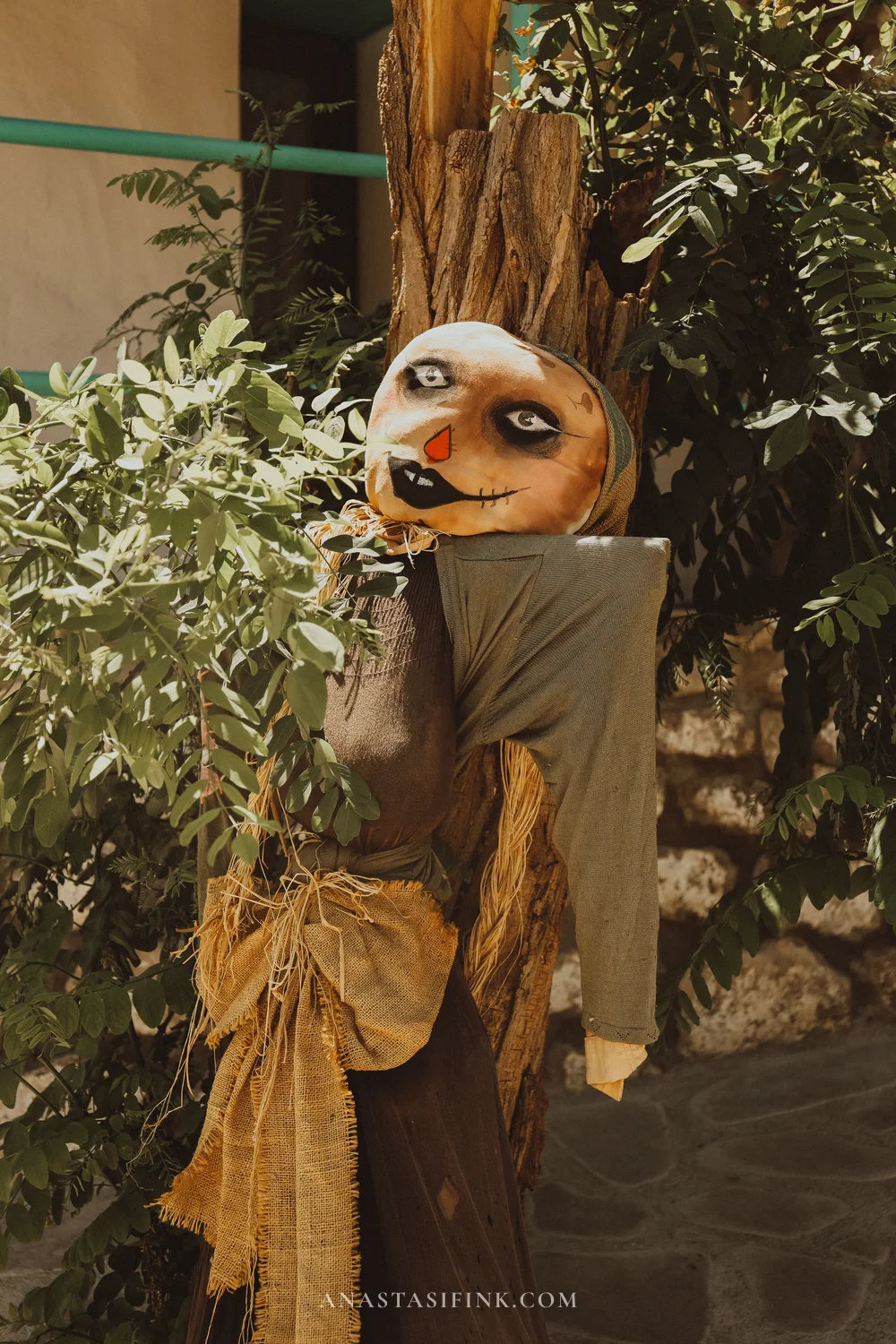 Scarecrow on a tree trunk with a burlap face