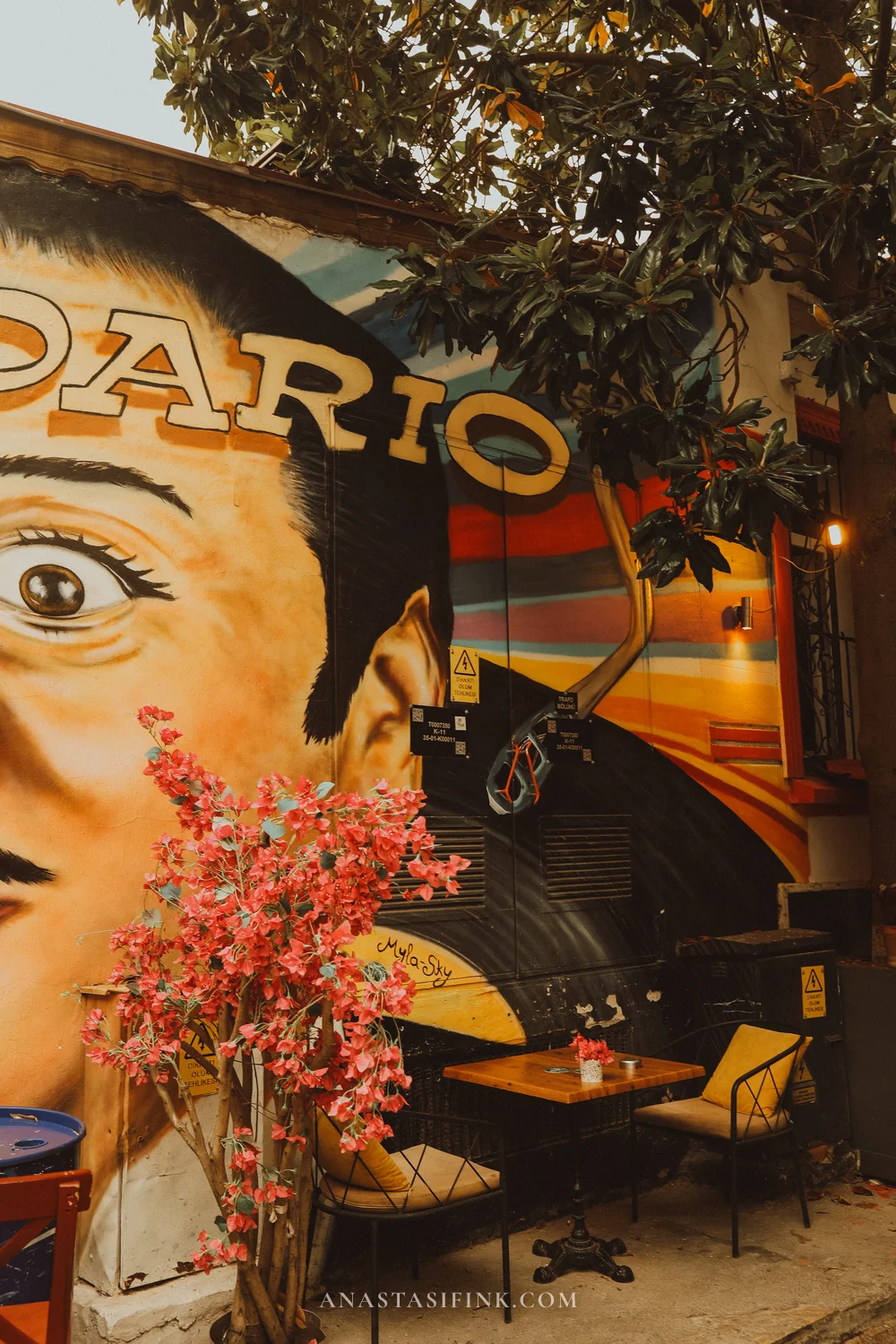 DARIO portrait mural on a cafe wall — impossible to miss