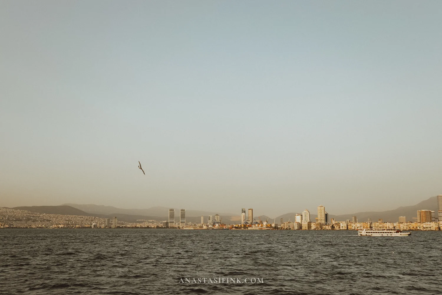 Izmir panorama from ferry — seagull in flight, city on horizon