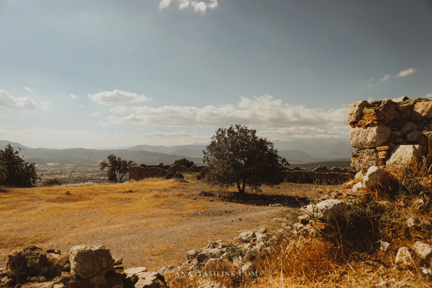 Lone tree and stone walls on the acropolis edge