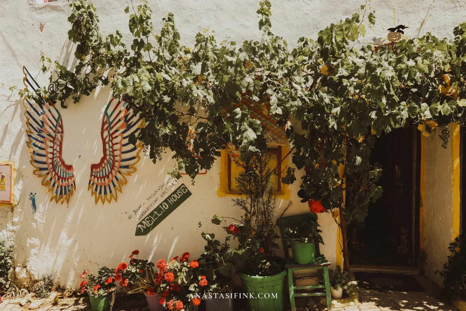 Barbaros courtyard with wing murals, grapevines, and flower pots