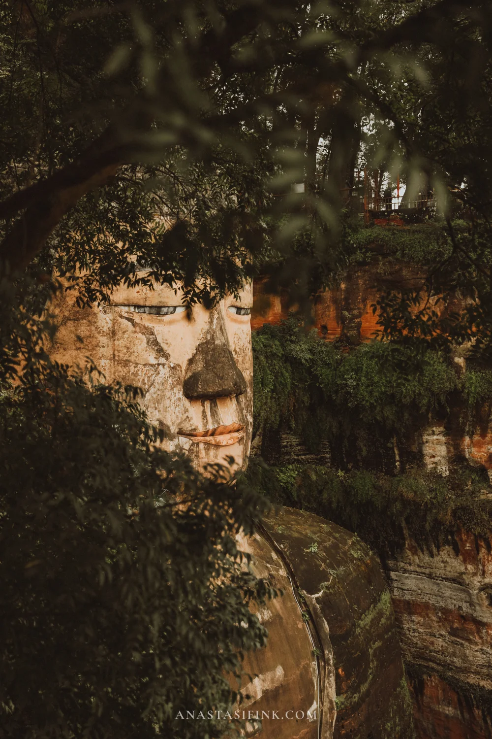 Face of the Leshan Giant Buddha through tree branches