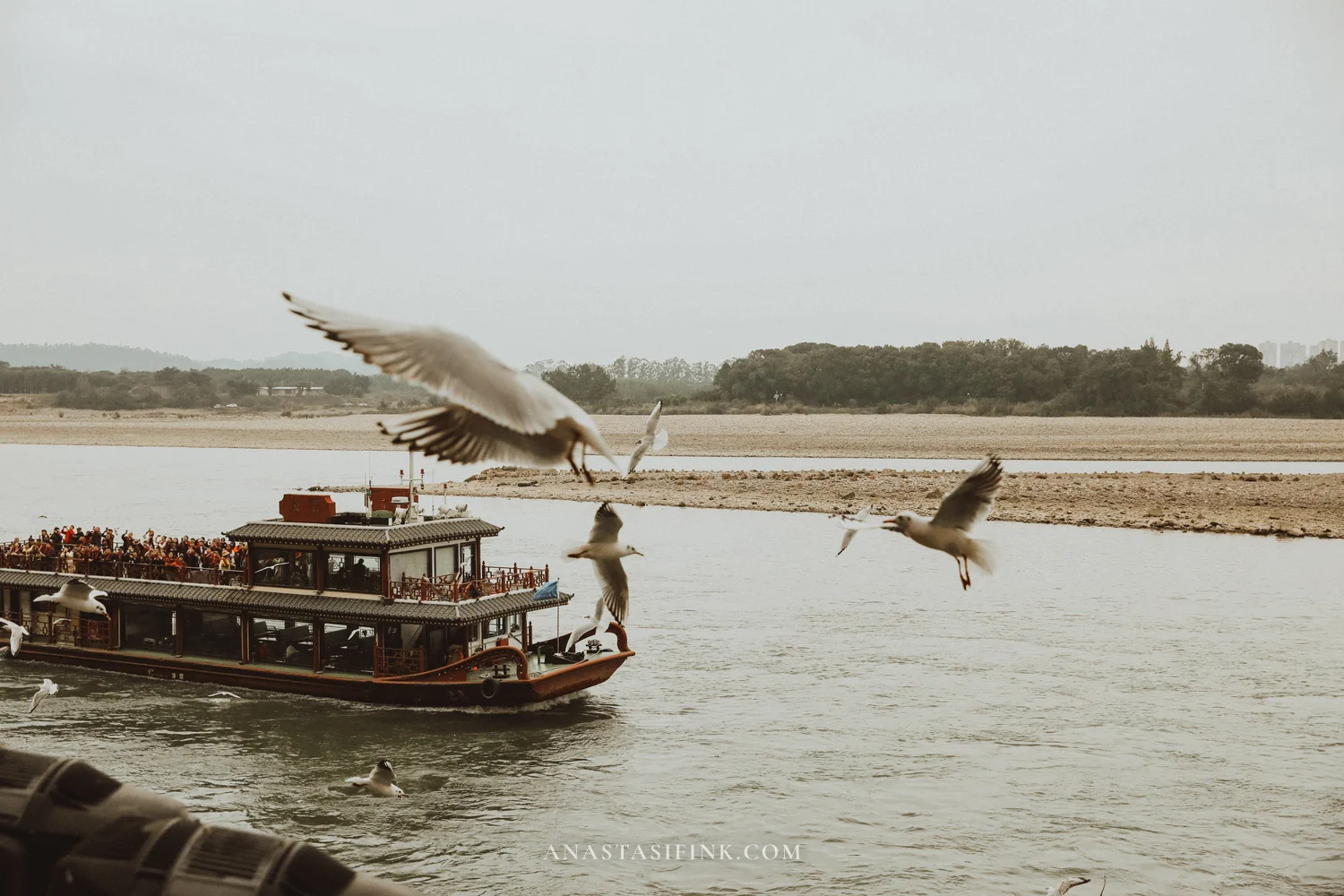 Tour boat on the river with seagulls at the Giant Buddha