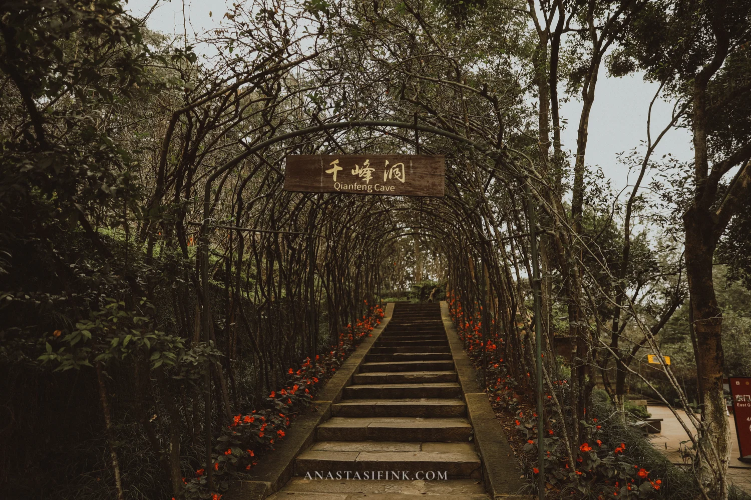 Vine tunnel over the staircase at Qianfeng Cave