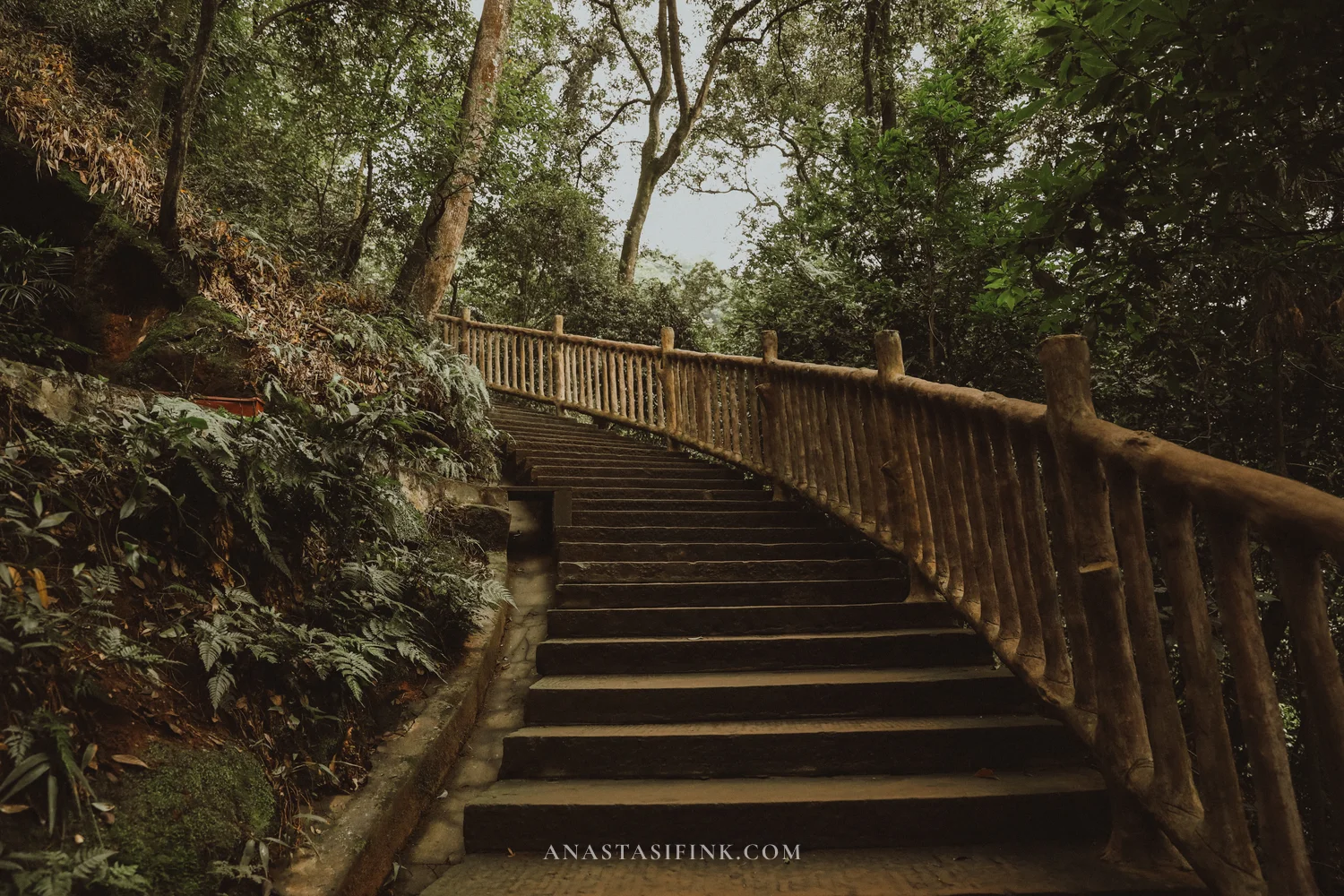 Curving wooden staircase in the forest on Wuyou Hill