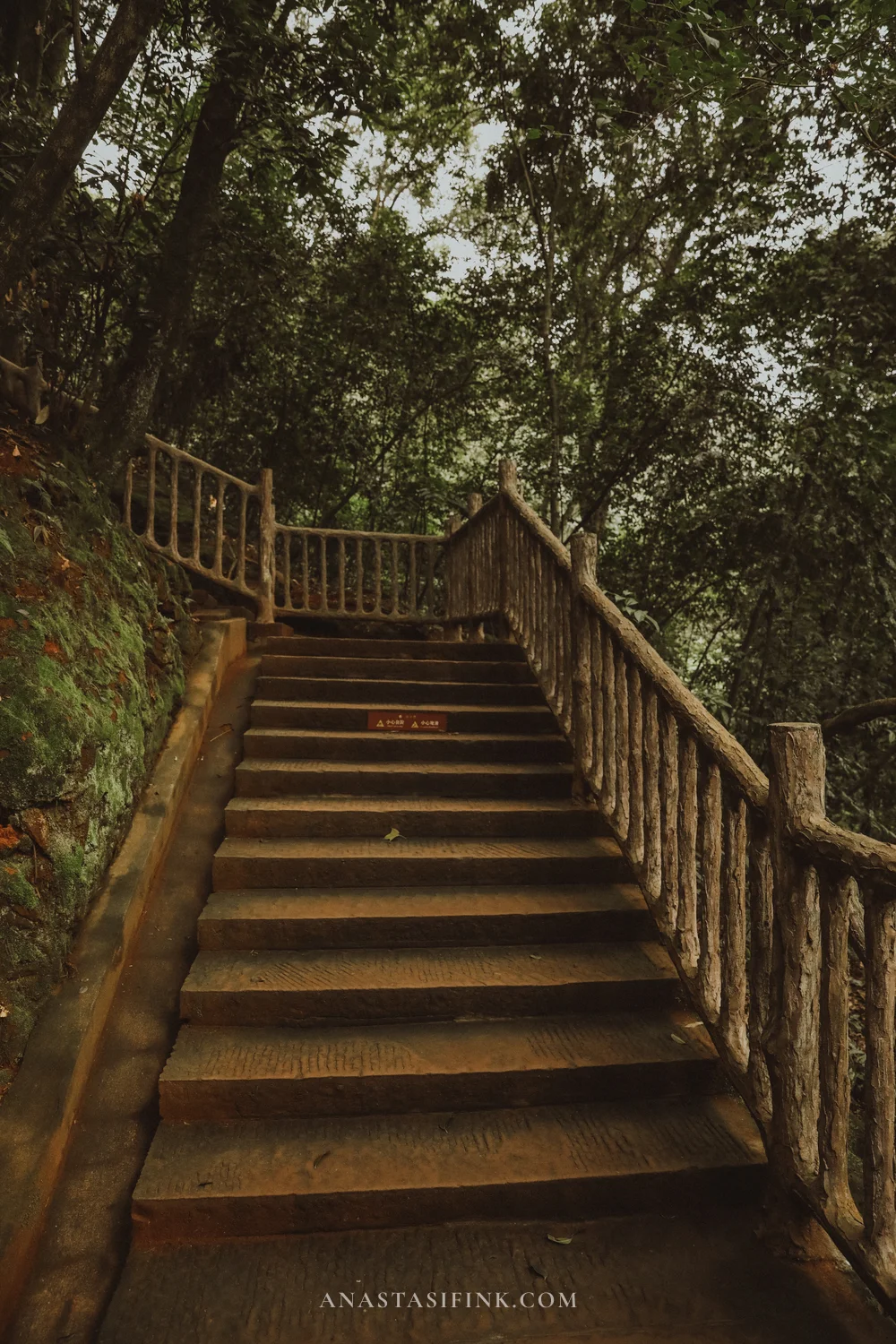 Wooden staircase up through the forest to Wuyou Hill