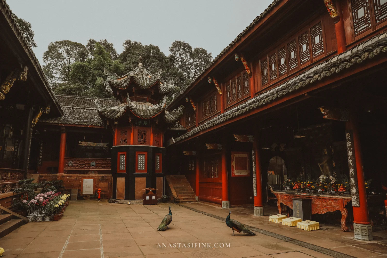 Wuyou Temple courtyard with an octagonal pavilion and peacocks