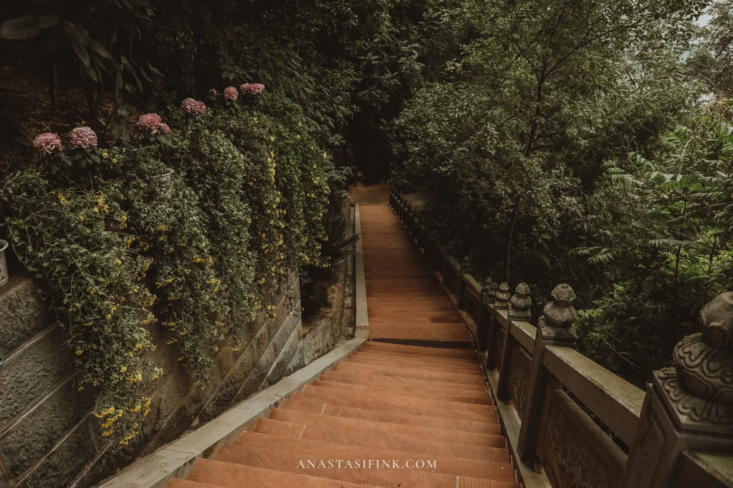 Stone staircase down with flowers along the wall, leaving Wuyou Temple