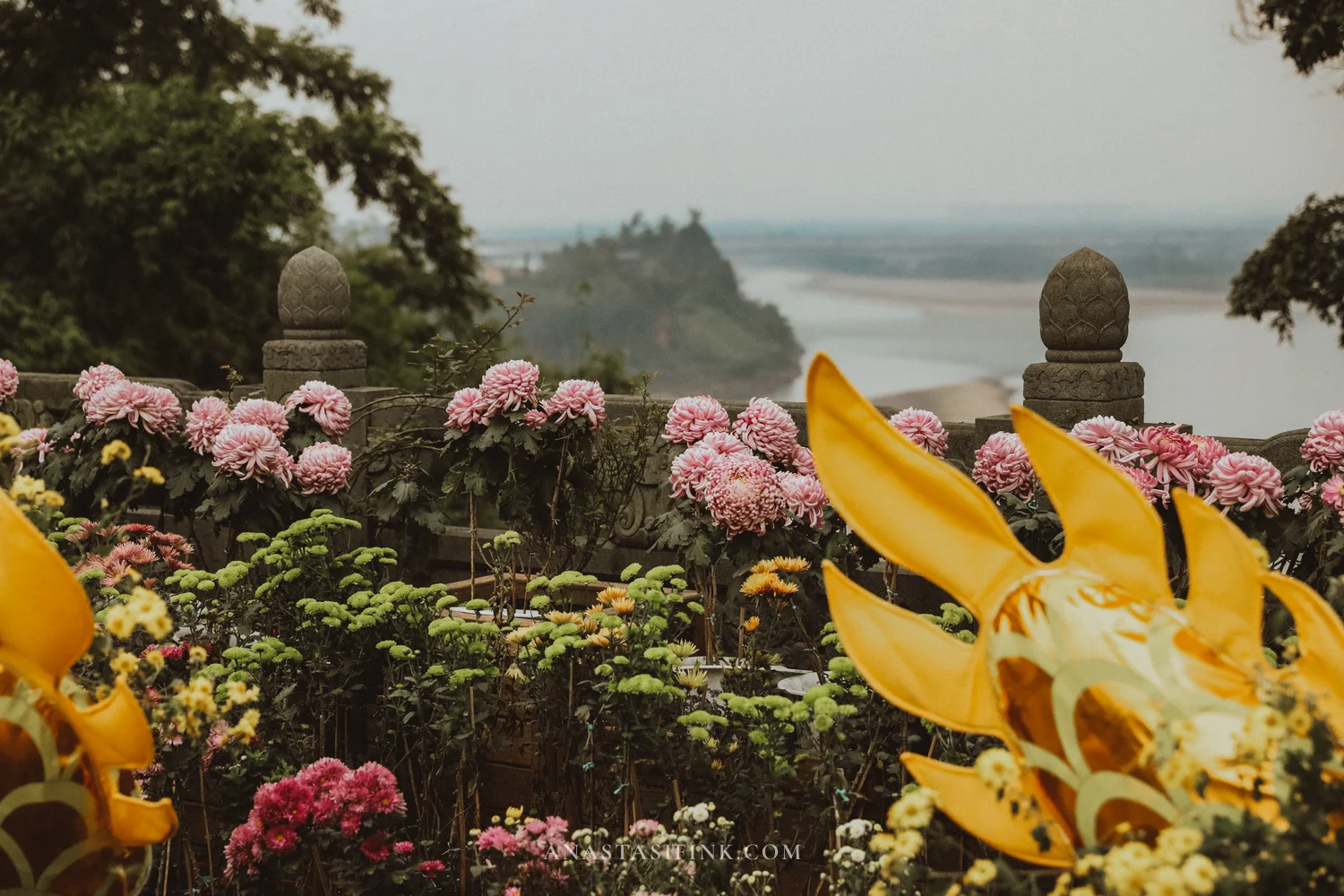 River view through chrysanthemums and a golden peacock tail at Wuyou Temple