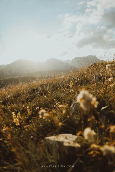 Evening light over the meadow at Babina Greda viewpoint, Durmitor, Montenegro