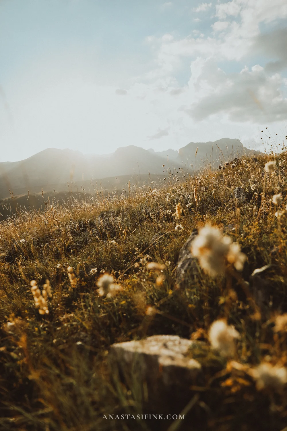 Evening light over the meadow at Babina Greda viewpoint, Durmitor, Montenegro