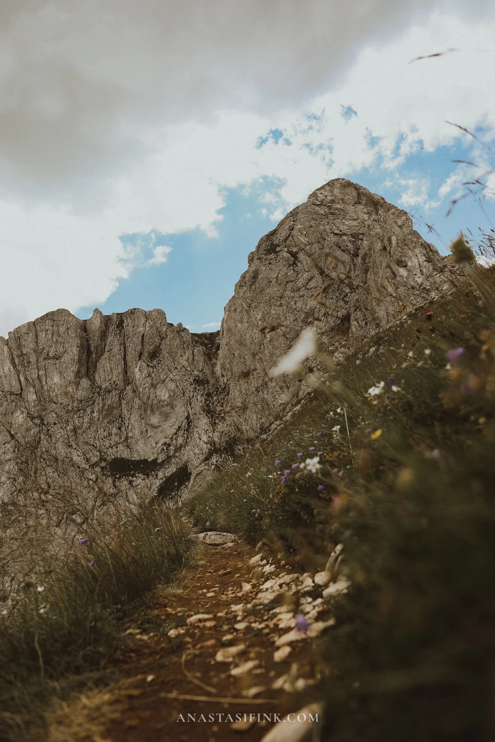 Hiking trail through wildflowers towards a rocky peak in Durmitor National Park, Montenegro